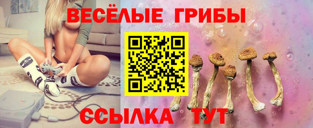 Галлюциногенные грибы Psilocybine cubensis  Вход с VPN  Донецк 